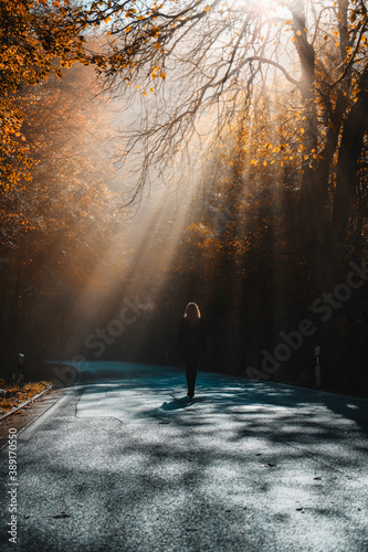 Silhouette back view of a girl staning on a road in the autumn forest with sunrays coming trough the trees on a cold early morning with foggy nature. Sunrise in the nature mountains. Harz Mountains photo