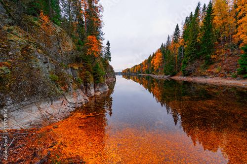 Photography Autumn forest reflection in lake