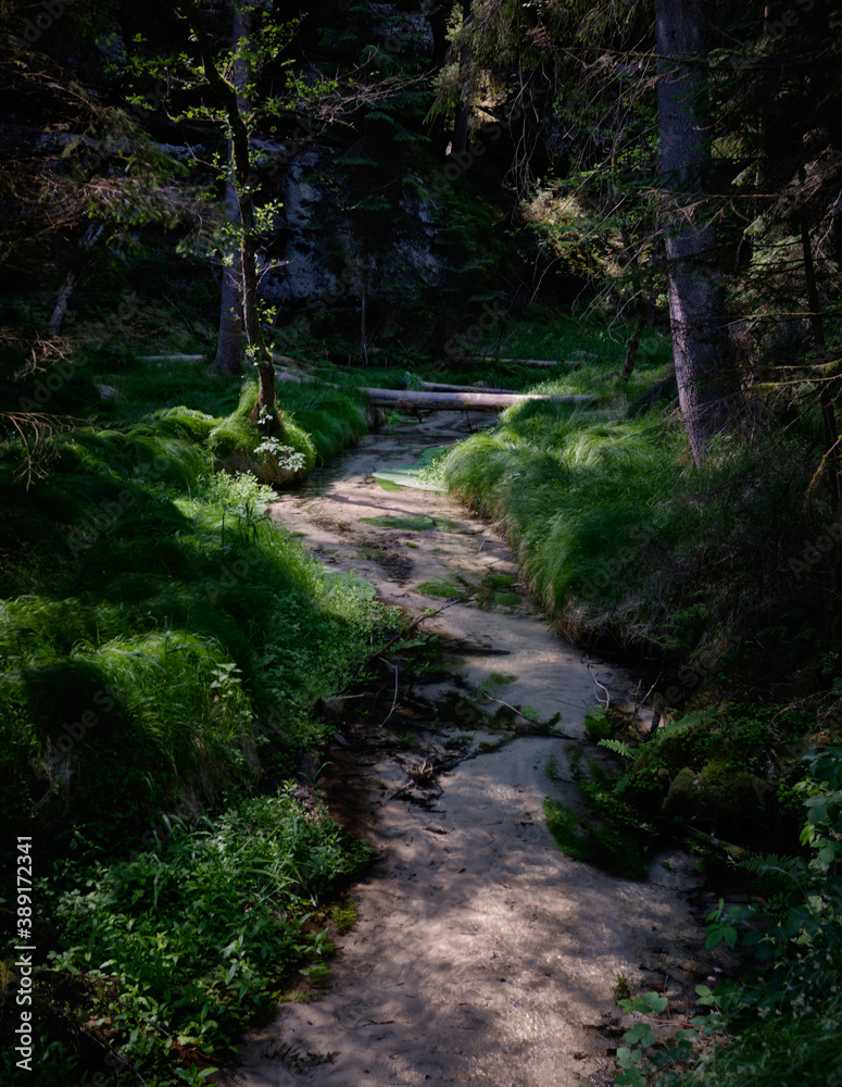 Obraz premium Stream