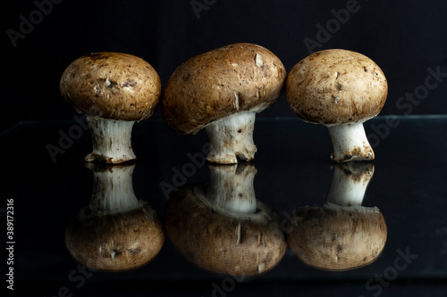 mushrooms on a black background and reflections