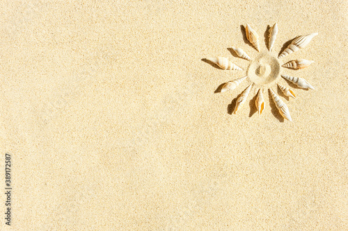 Sun made form seashells on clean sand, top view, copy space , natural background