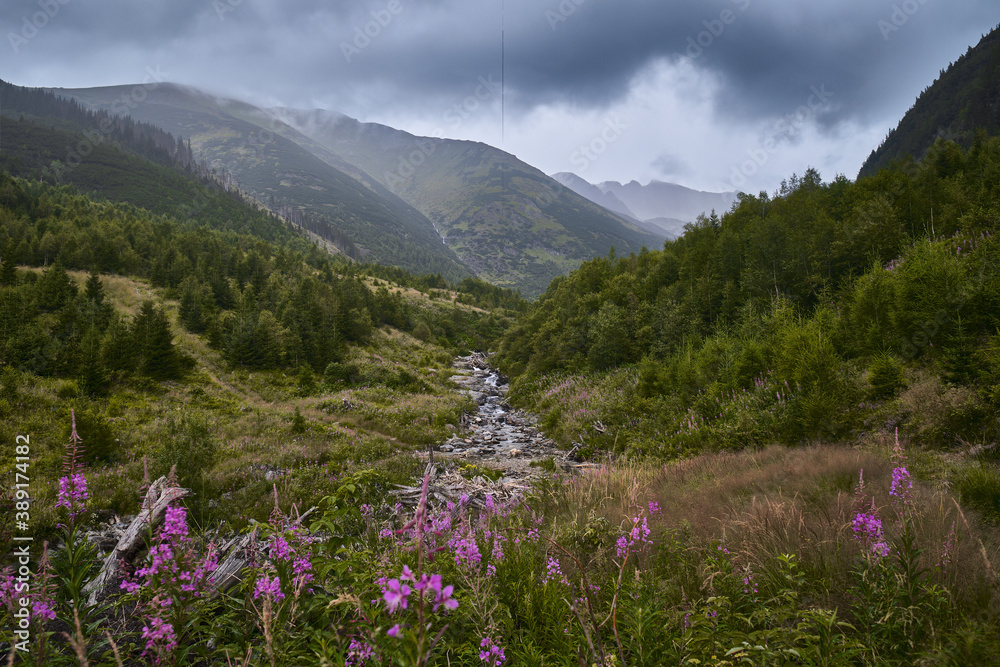 Valley Valley