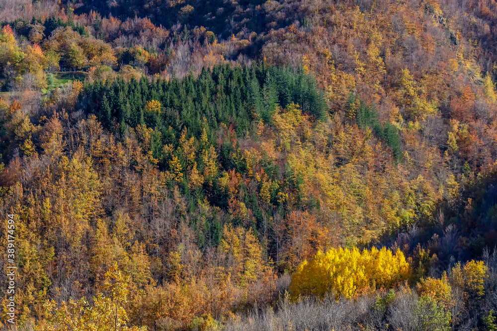 Typical autumn foliage on the Emilian Apennines in the Frignano park, near Lake Santo, Italy
