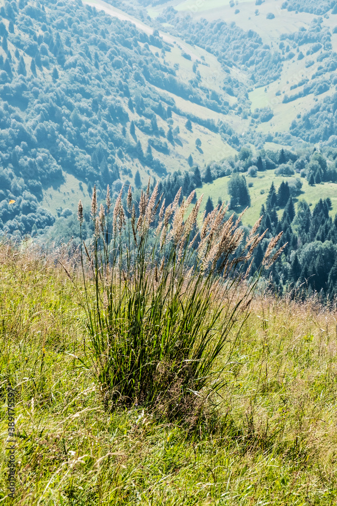 Fototapeta premium Big Fatra mountains, Slovakia, natural scene
