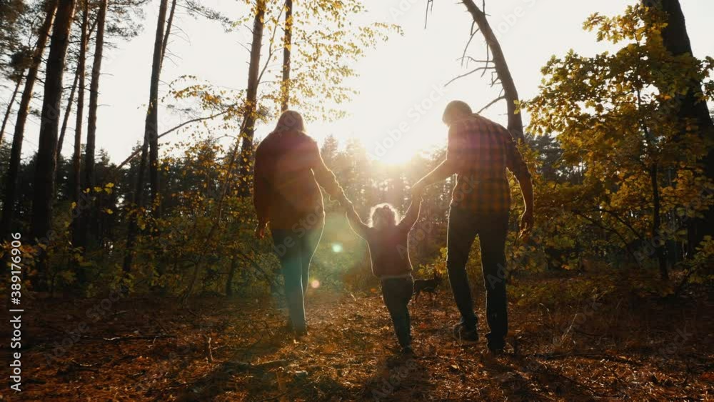Rear view of dad, mom and their little daughter holding hands walking in the woods at sunset