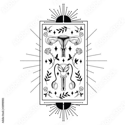 Vector realistic male and female reproductive systems. Eps 10 illustration can be used for party invitation, design template, greeting card, patterns fill, posters,logo, tattoo, branding. 