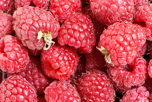 Many berries of red ripe raspberries close up
