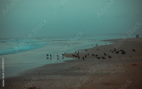 An Evening By the Sea