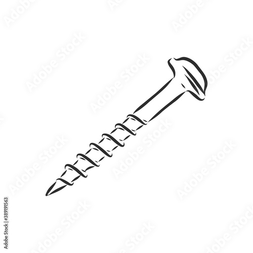 screws, nails isolated on a white background. Vector illustration, metal screw vector sketch illustration