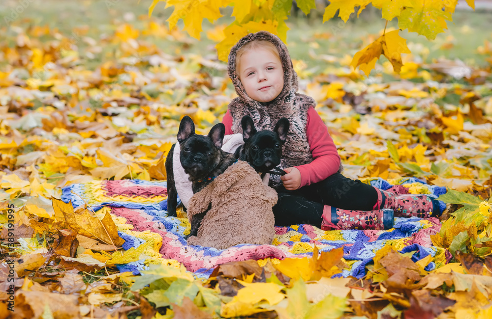 Φωτογραφία A cute little girl and two French bulldogs are sitting in the autumn park