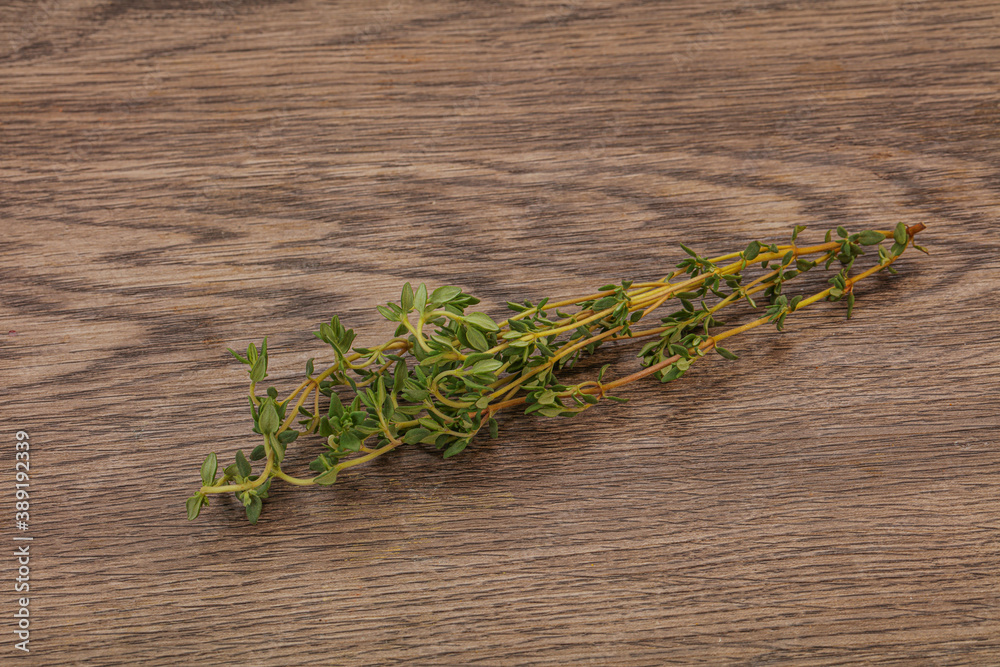 Aroma Fresh green thyme branch Aroma Fresh green thyme branch