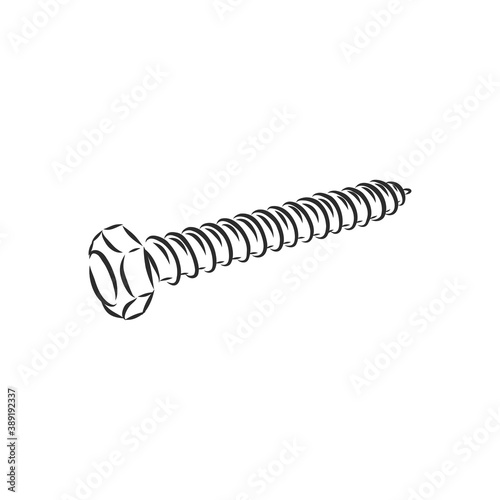 screws, nails isolated on a white background. Vector illustration, metal screw vector sketch illustration