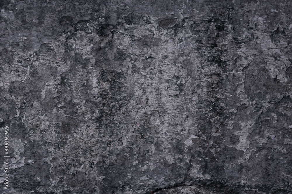 gray stucco grunge wall, abstract background gray wall blank gray stucco grunge wall, abstract background gray wall blank