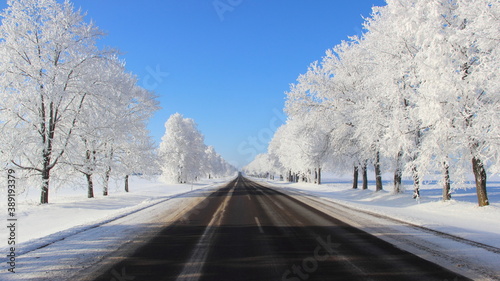 Beautiful European suburban empty endless road landscape with white snow covered frosty trees after snowfall on roadsides in perspective view at Sunny winter day on clear blue sky background © Ilya
