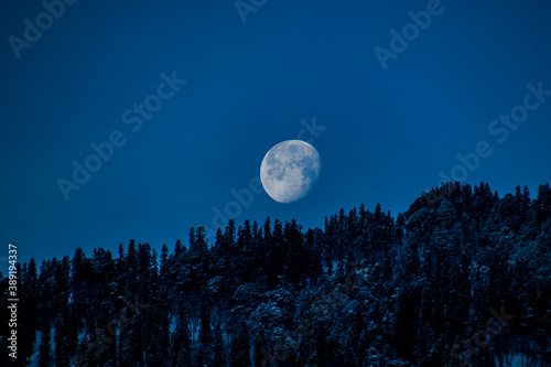 The moon setting over snowy trees © Kandarp