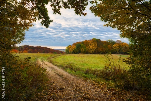 Landscape of Bakony hills , famous travel place in Hungary