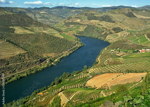 Typical landscape in the Douro valley - Portugal