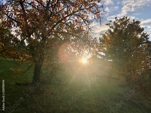 Wallpaper Mural Autumn in Birkmannsweiler 2 - by juma Torontodigital.ca