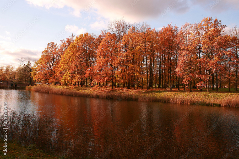 autumn landscape with lake and trees autumn landscape with lake and trees