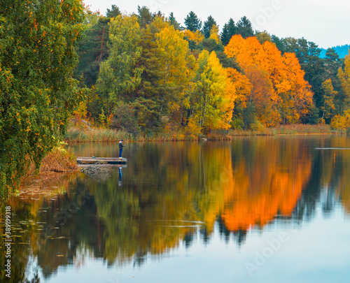 Fototapeta Naklejka Na Ścianę i Meble -  Autumn forest trees reflection in water