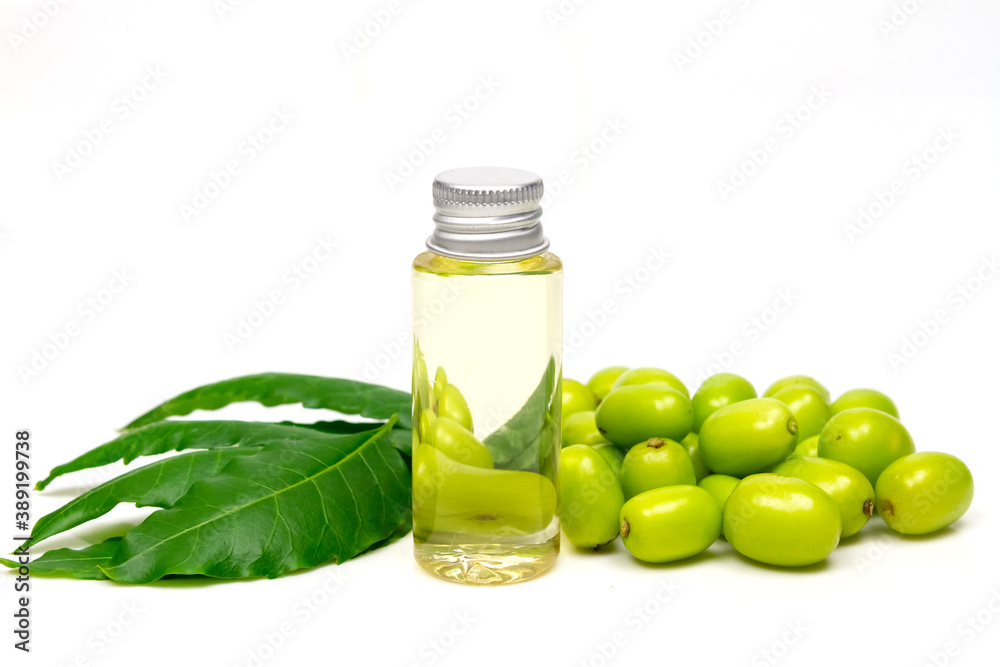 Neem oil in bottle and neem leaf and fruit isolated on white background. Neem oil is an excellent moisturizing oil and contains various compounds that have insecticidal and medicinal properties. Neem oil in bottle and neem leaf and fruit isolated on white background. Neem oil is an excellent moisturizing oil and contains various compounds that have insecticidal and medicinal properties.