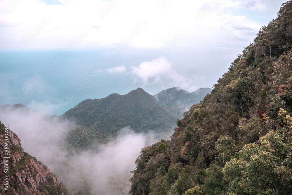 Mountains and hills covered with tropical plants