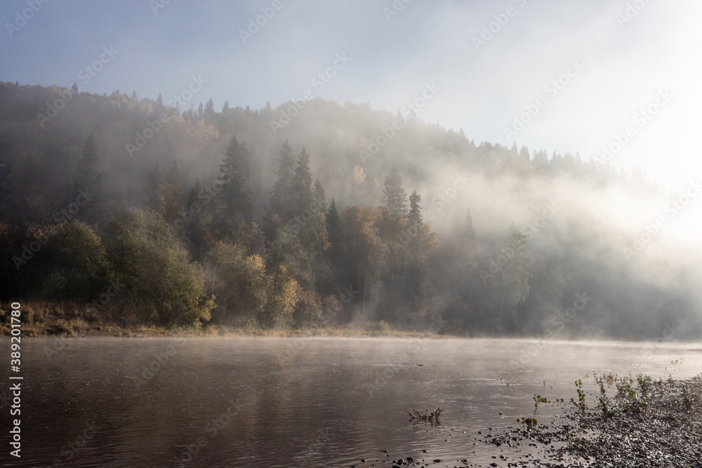 foggy morning on the river