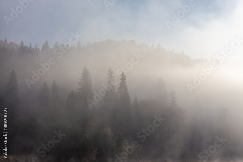 foggy morning on the river © Андрей Старцев