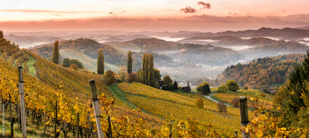 South styria vineyards landscape, Tuscany of Austria. Sunrise in autumn.