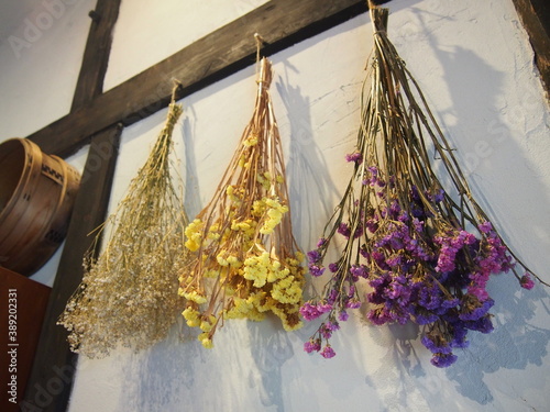 Beautiful tricolor dried flowers, Tamba, Hyogo, Japan