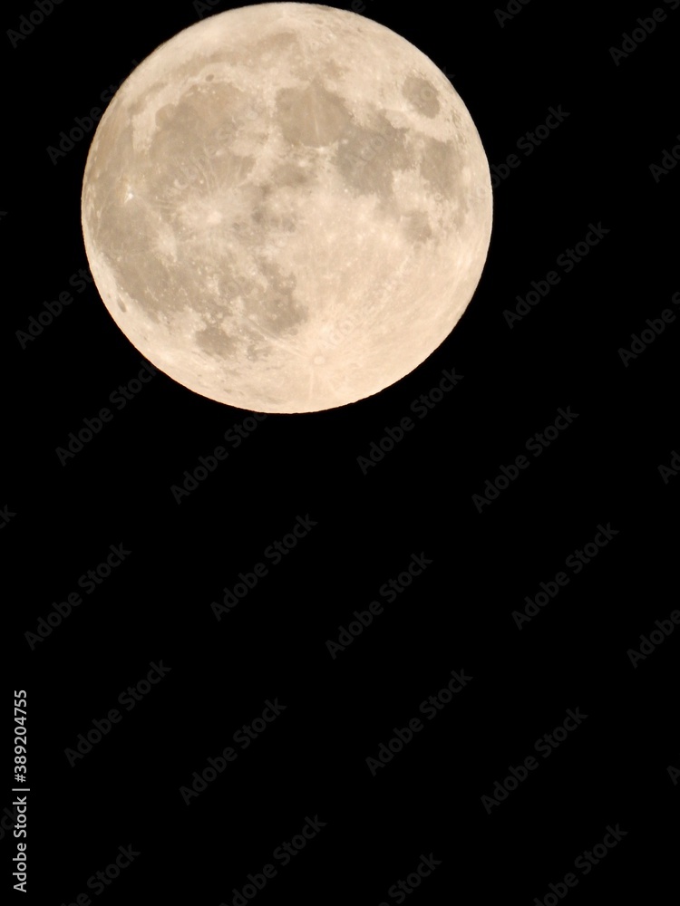 Naklejka premium 2020年で″最小″の満月