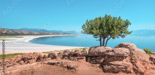 Fototapeta Naklejka Na Ścianę i Meble -  Panoramic view with a lone picturesque tree and popular tourist attraction - lake Salda or Turkish Maldives. Calcium carbonate deposits on white beach