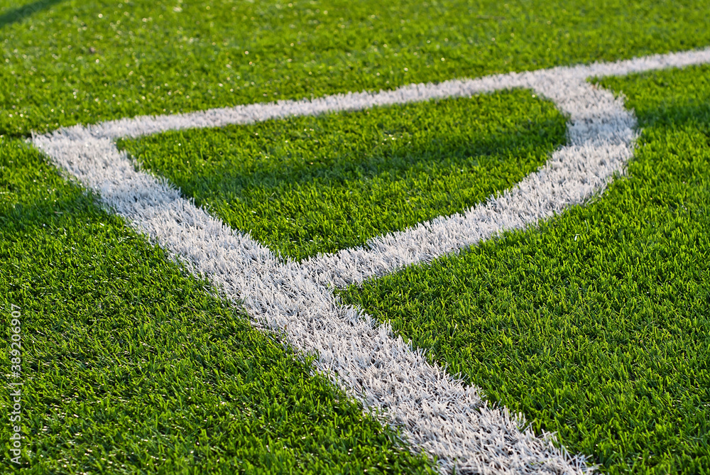 Naklejka premium Soccer field texture close up. Grass in the stadium. Finely mown lawn for sports grounds. Straight lines are drawn in white paint. Restrictive zones at the stadium.