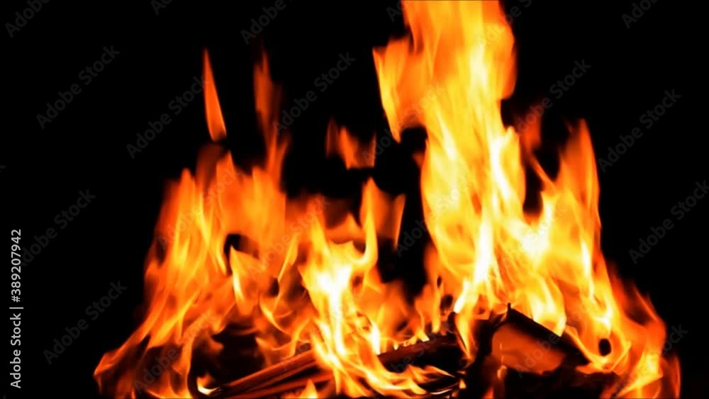 fire on black, campfire background, burning wood fire
fire on black, campfire background, burning wood fire