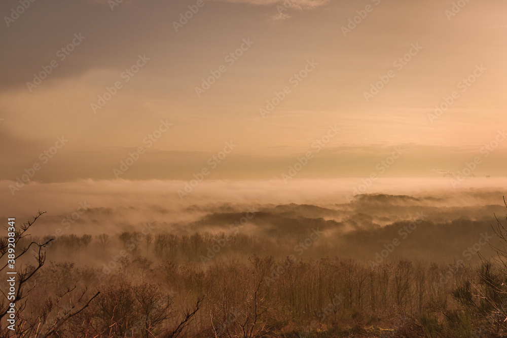 foggy landscape at sunrise