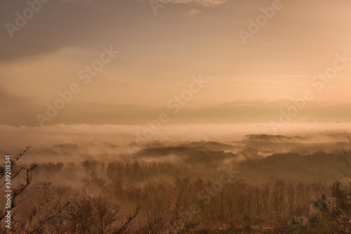 foggy landscape at sunrise