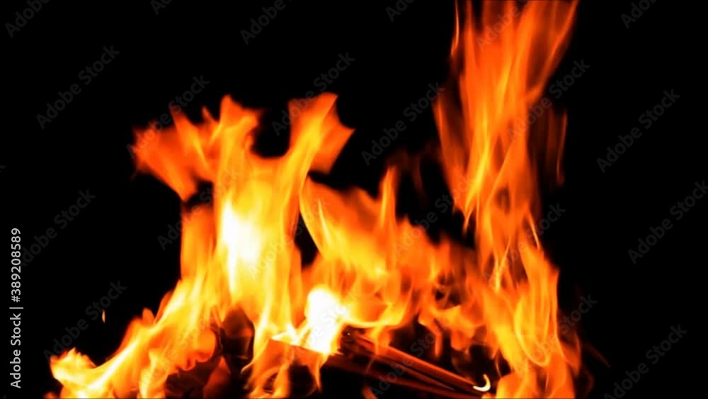 fire on black, campfire background, burning wood fire
fire on black, campfire background, burning wood fire