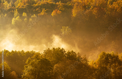 Lake fog landscape with Autumn foliage and tree reflections in Styria, Thal, Austria