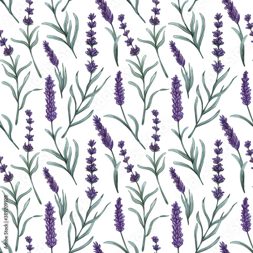 Watercolor lavender seamless pattern. Hand drawn floral background.