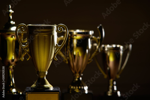 trophy on the wood background