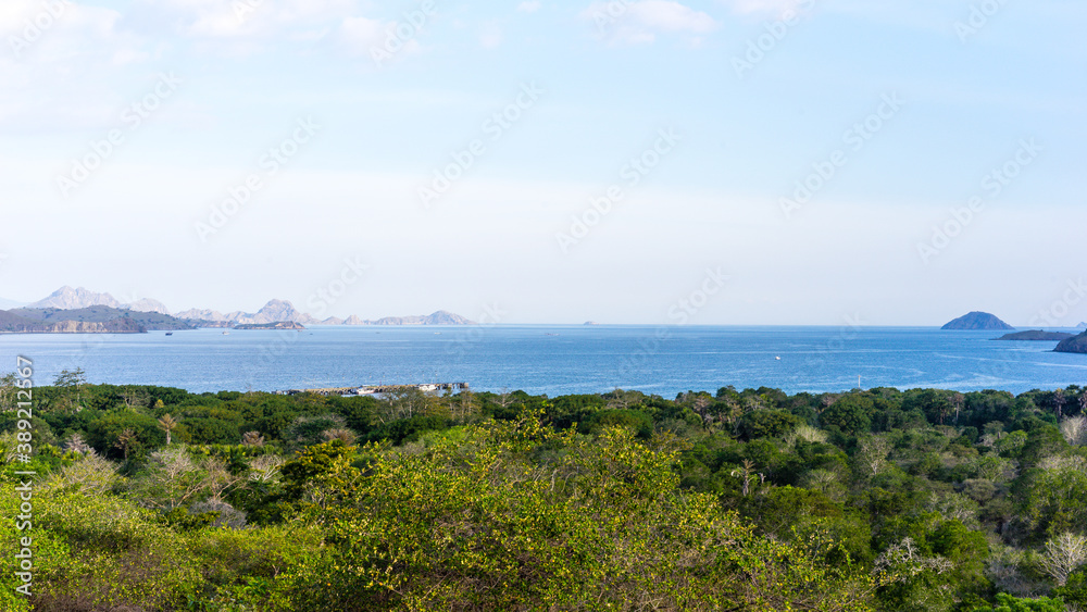 Viewpoint on Komodo Islands, bay view on a clear sunny day, calm sea bay and green forest
