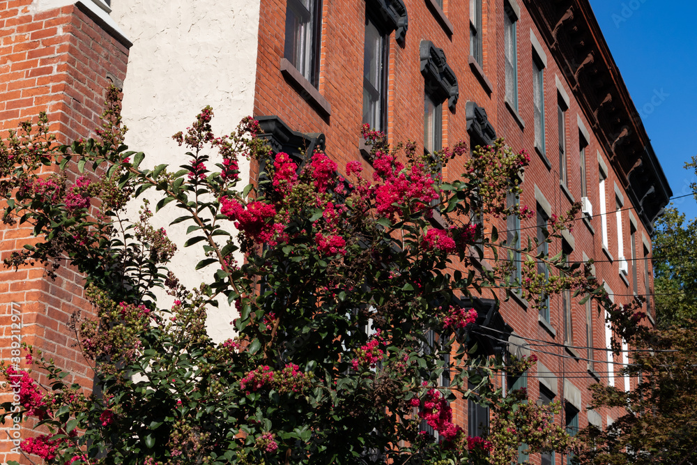 Naklejka premium Row of Beautiful Old Brick Homes with Plants and Flowers in Hamilton Park of Jersey City