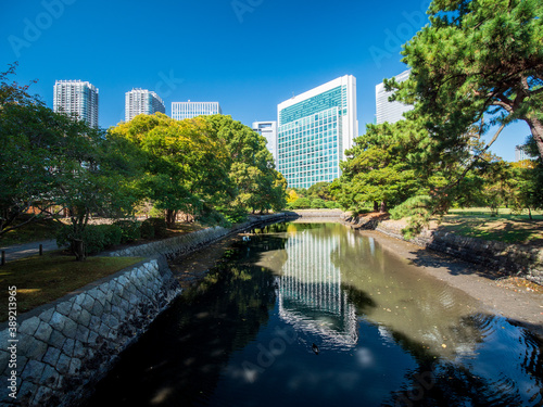 秋晴れの青空広がる東京の浜離宮庭園の風景　10月 photo