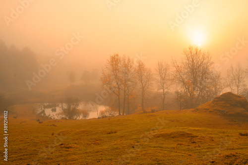 Misty autumn landscape