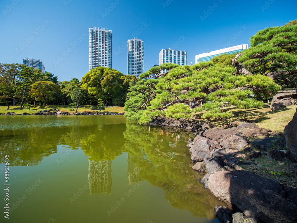 秋晴れの青空広がる東京の浜離宮庭園の風景　10月