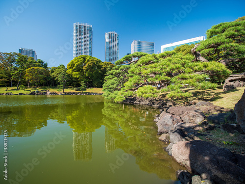 秋晴れの青空広がる東京の浜離宮庭園の風景 10月