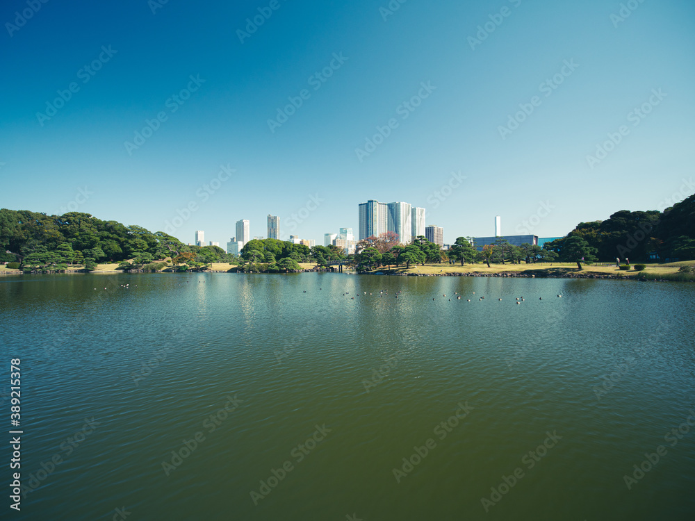 秋晴れの青空広がる東京の浜離宮庭園の風景　10月