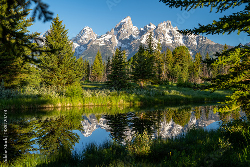 Schwabacher Landing in the early morning in Grand Teton National Park  with mountain reflections on the water creek