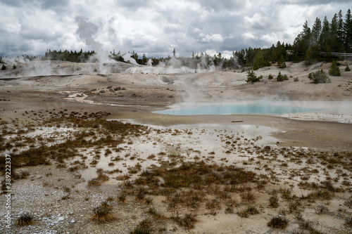 Volcanic scenery along the Norris Geyser Basin trail in Yellowstone National Park