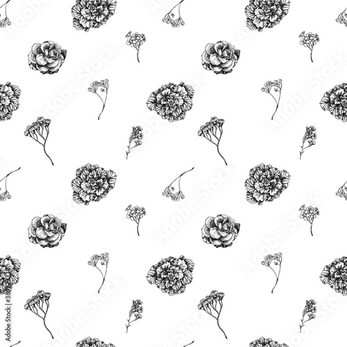 Seamless pattern with black and white wax flower, forget me not flower, tansy, ardisia, brassica, decorative cabbage